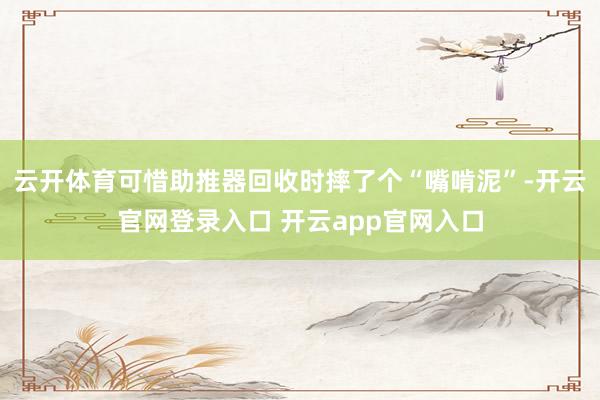 云开体育可惜助推器回收时摔了个“嘴啃泥”-开云官网登录入口 开云app官网入口